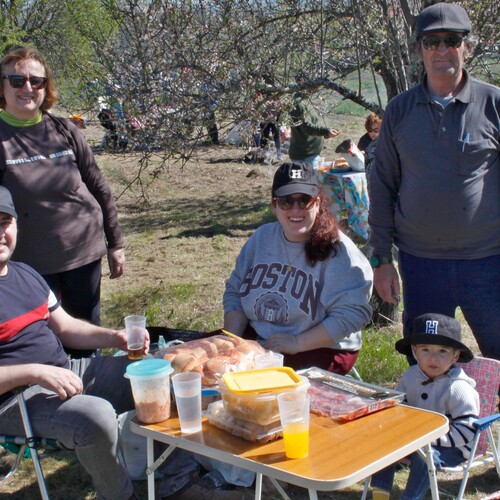 Almendro en flor 2026 (25)